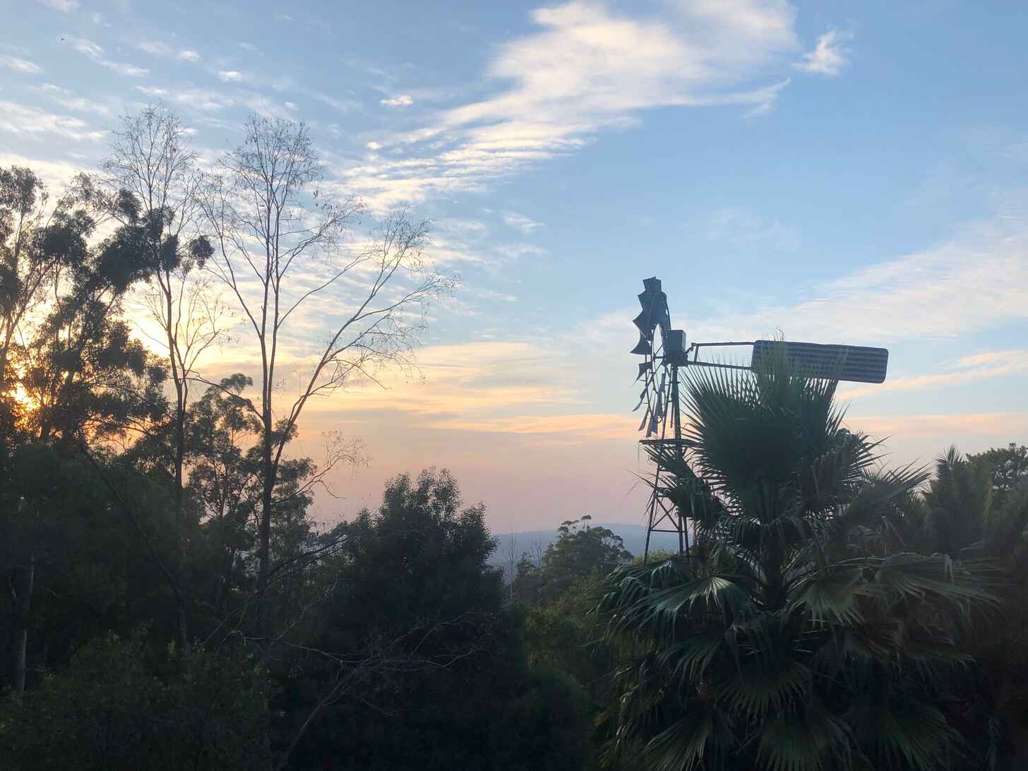 Photo of a sunrise with trees and windmill visible