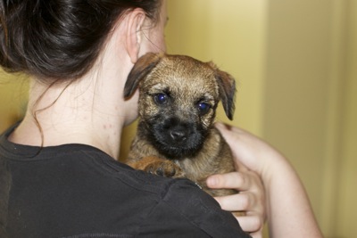 Amanda Holding Ruby