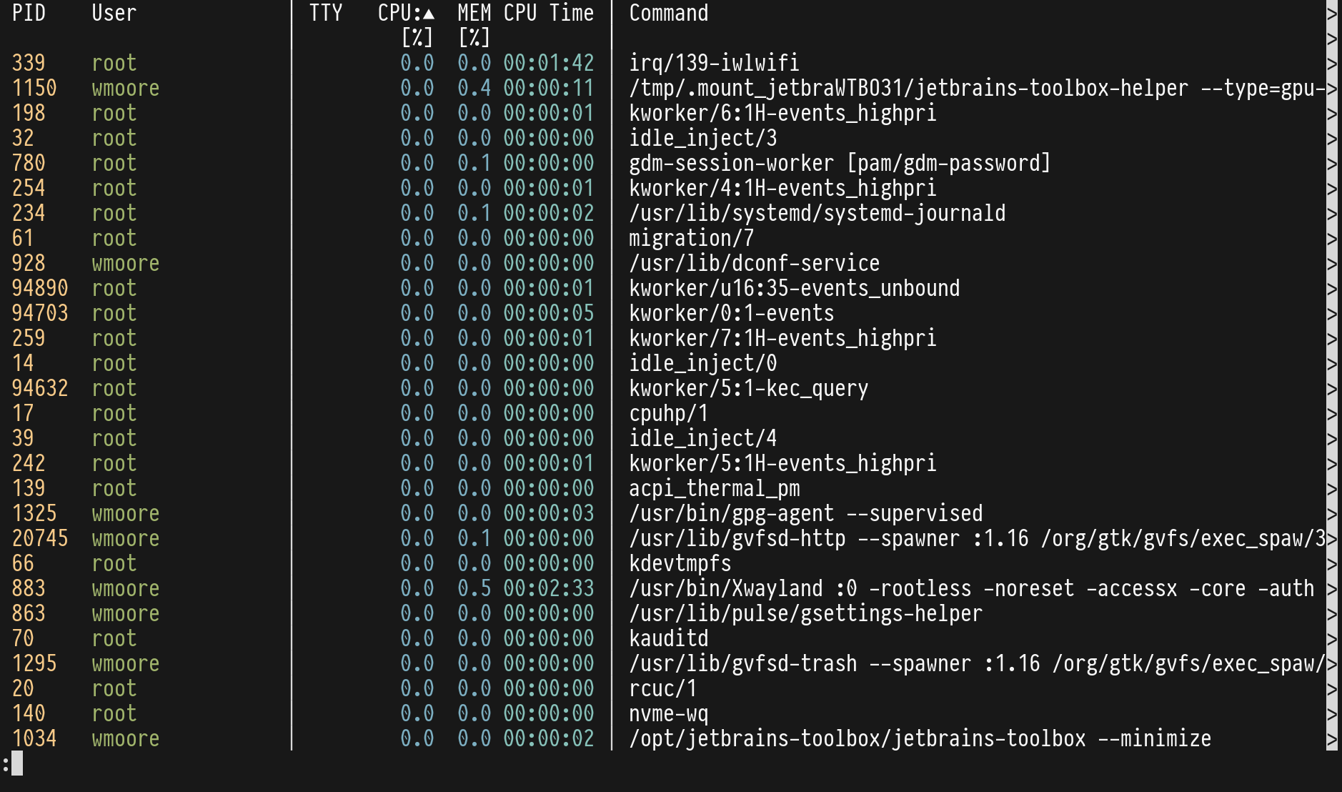 Screenshot of procs running in a terminal.