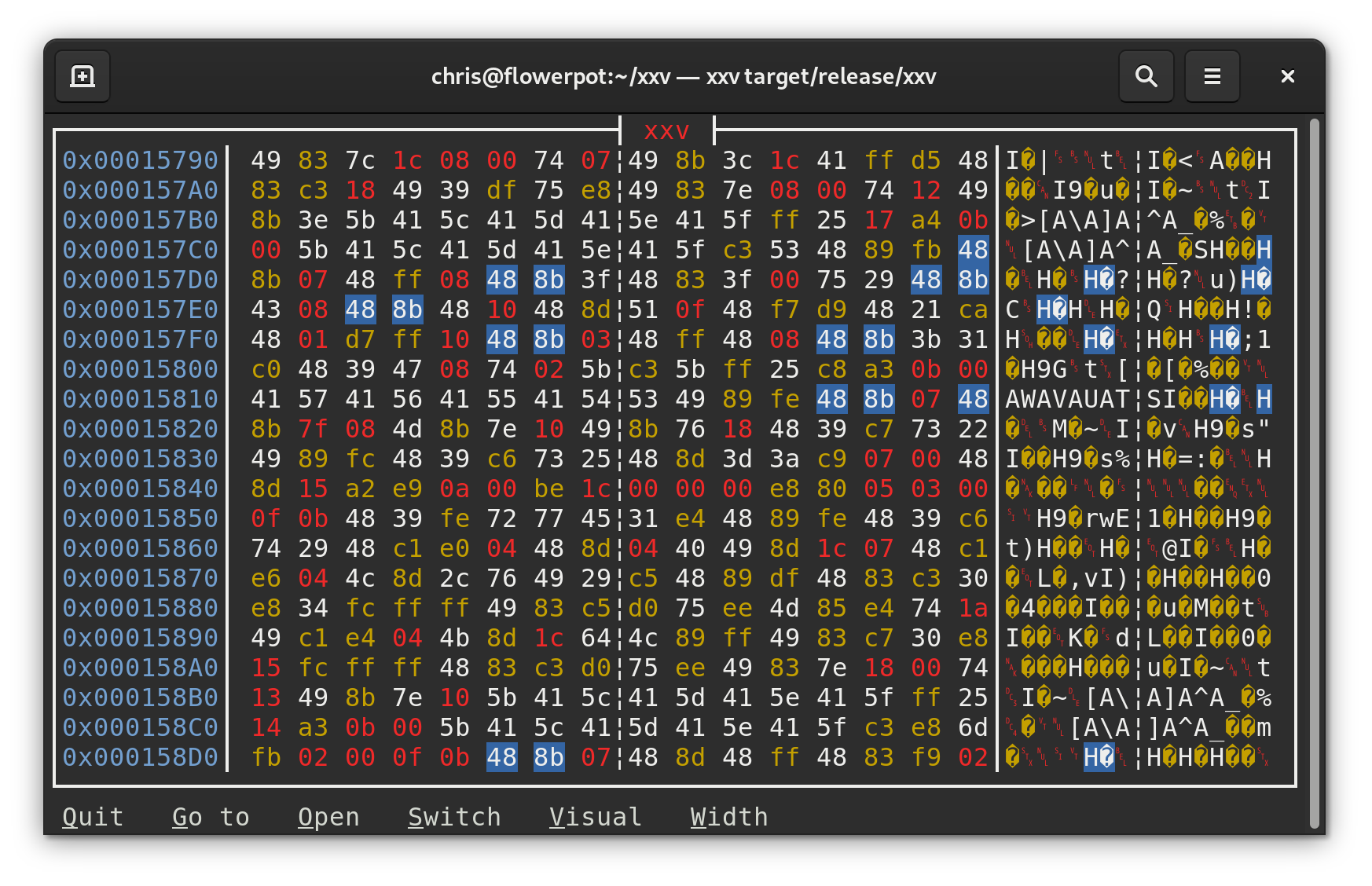 Screenshot of xxv running in a terminal.