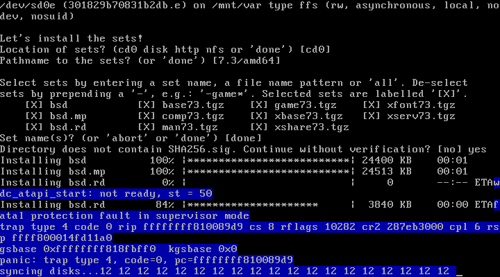 Screenshot of the installer crash.