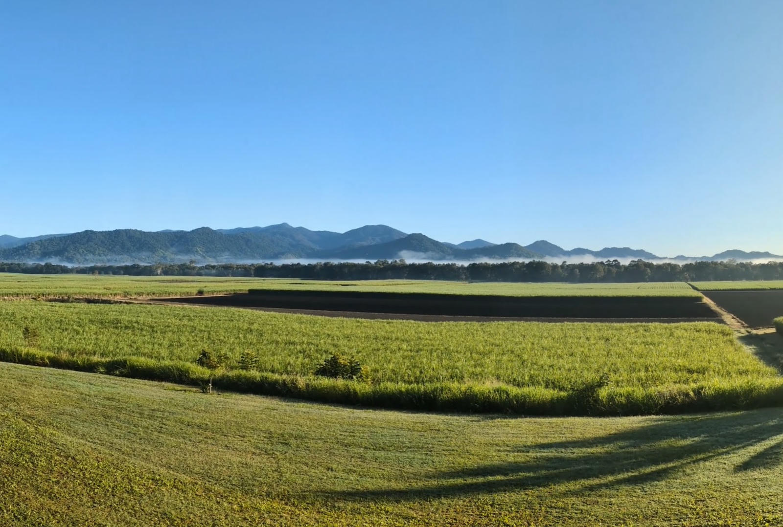 Landscape scene with trimmed, green grass in the foreground, sugar cane fields in the middle, and foggy bushland mountains in the background topped with a clear blue sky.
